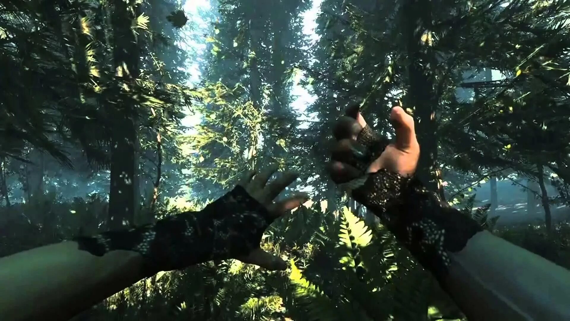 The were going the forest. The Forest игра на ps4. Форест 2 ПС 4. The Forest на пс4. The Forest последняя версия 2022.