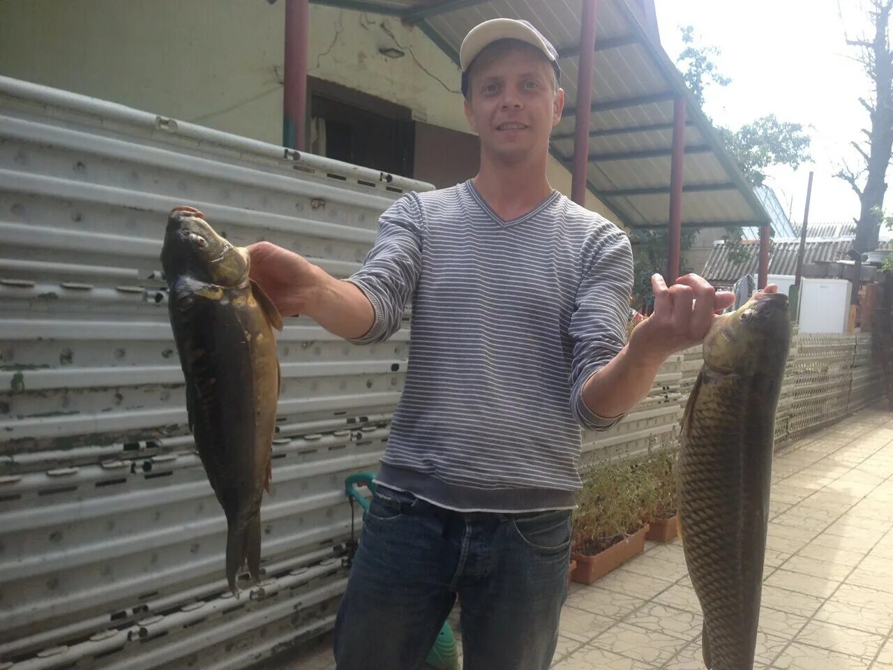 Рыбалка на реке битюг воронежской области. Ловил воронеж. Рыбалка на реке воронеж. Ловил воронеж. Ловил воронеж.