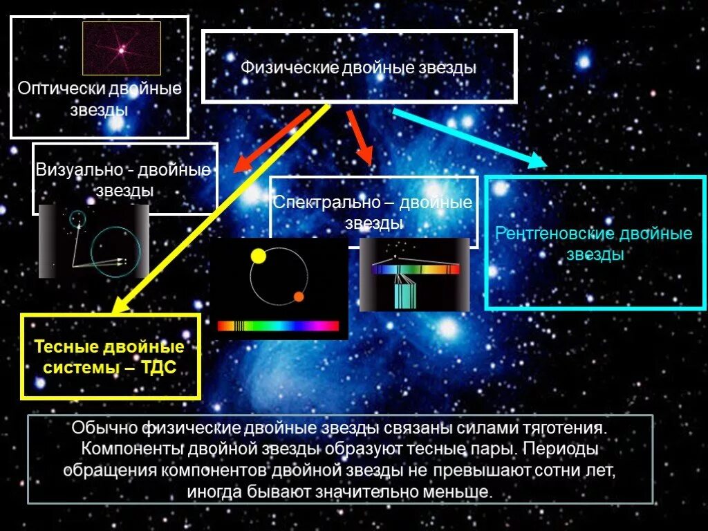 Типы двойных звезд оптические двойные кратные двойные. Физическидвойные звёзды. Физические двойные звезды. Визуально двойные звезды. Периоды обращения двойных звезд