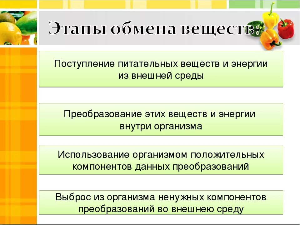 Выделение обмена веществ и энергии. Обмен веществ презентация. обмен веществ в организме конспект. обмен веществ и энергии презентация. обмен веществ и энергии конспект.
