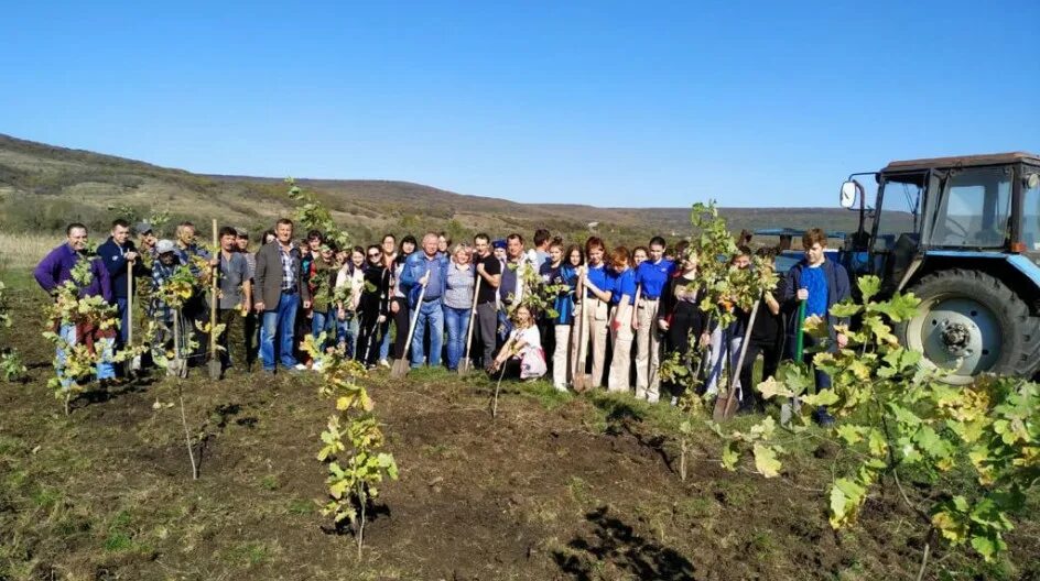 Погода в татарке ставропольского края шпаковского района. С.татарка Шпаковского района Ставропольского края. МКОУ СОШ 12 село татарка. Село татарка Шпаковский район. Деревня татарка Ставропольский край.