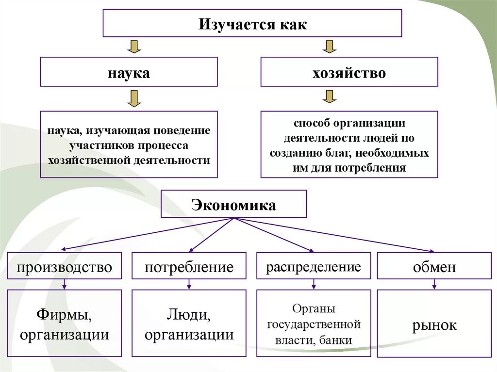 Вопросы по науке обществознание. Схема экономика наука и хозяйство. экономика как наука и как хозяйство обществознание. экономика наука хозяйство таблица. экономика наука и хозяйство конспект кратко.