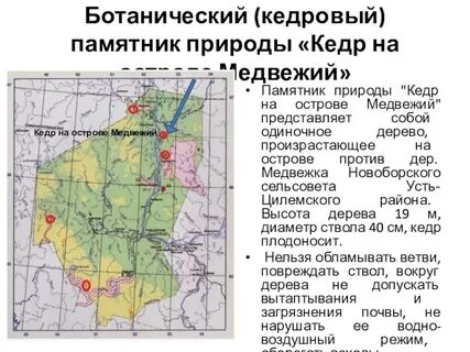 Республика коми режим