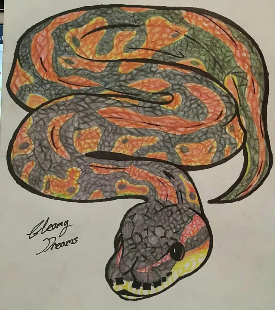 Рисование графика python. Рисование картинок на питоне. питон рисунок. питон арт карандашом. рисовать питона.