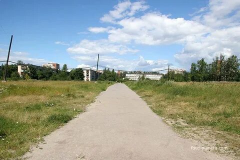 Села купчино