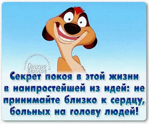 Не обращать внимания на плохих людей. Не обращай внимания на идиотов. Афоризмы про негатив. Не обращать внимание цитаты. Не обращай внимание на чужое мнение.