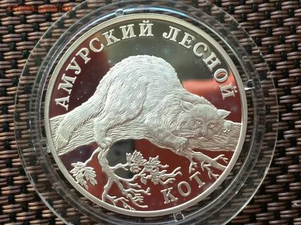 Кот за 1 рубль