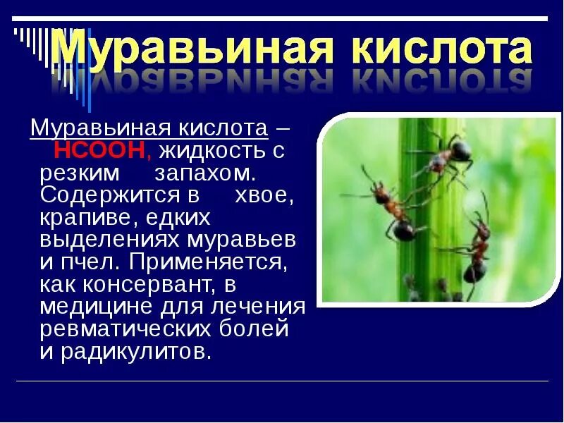 Муравьиная кислота в крапиве. Муравьиная кислота презентация. Муравьи и муравьиная кислота. Муравьиная кислота содержится.