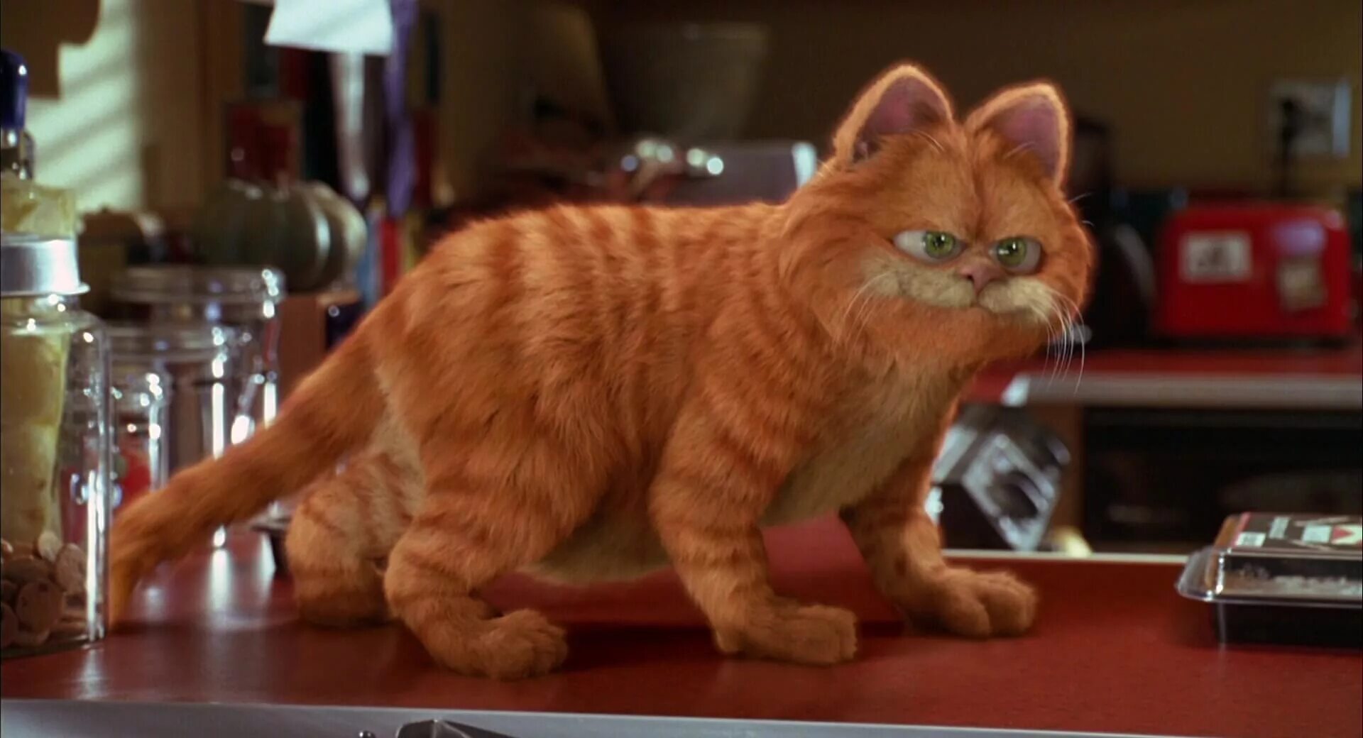 Гарфилд порода кота. Кот гарфилд 2. Кот гарфилд 1. Гарфилд 2004. Гарфилд - garfield (2004).
