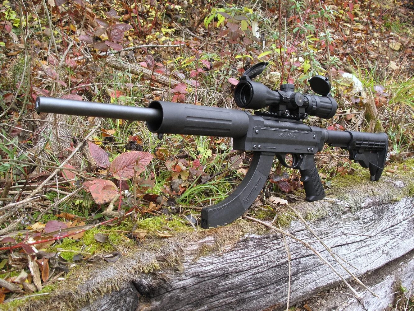 22 long rifle