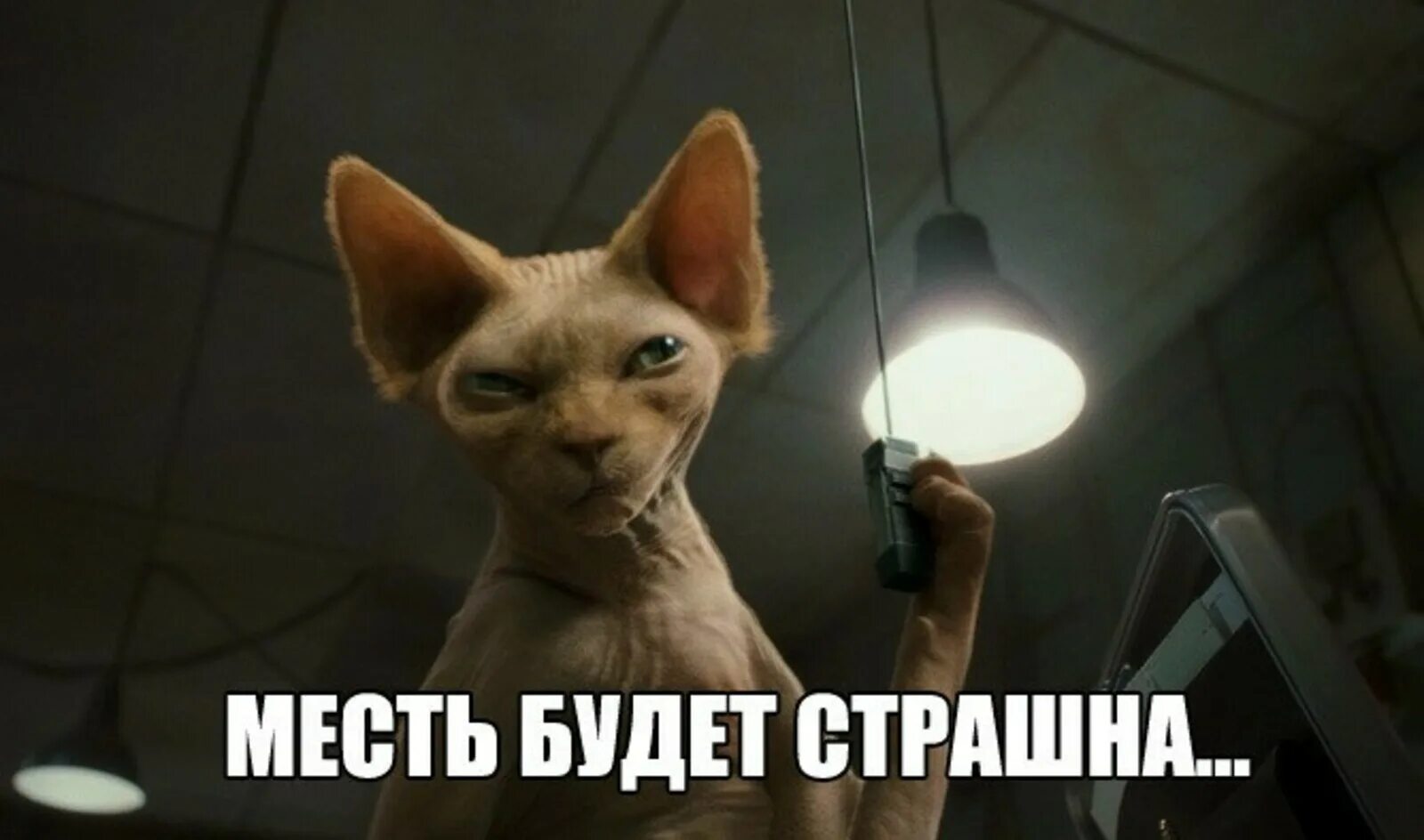 Мстя картинки