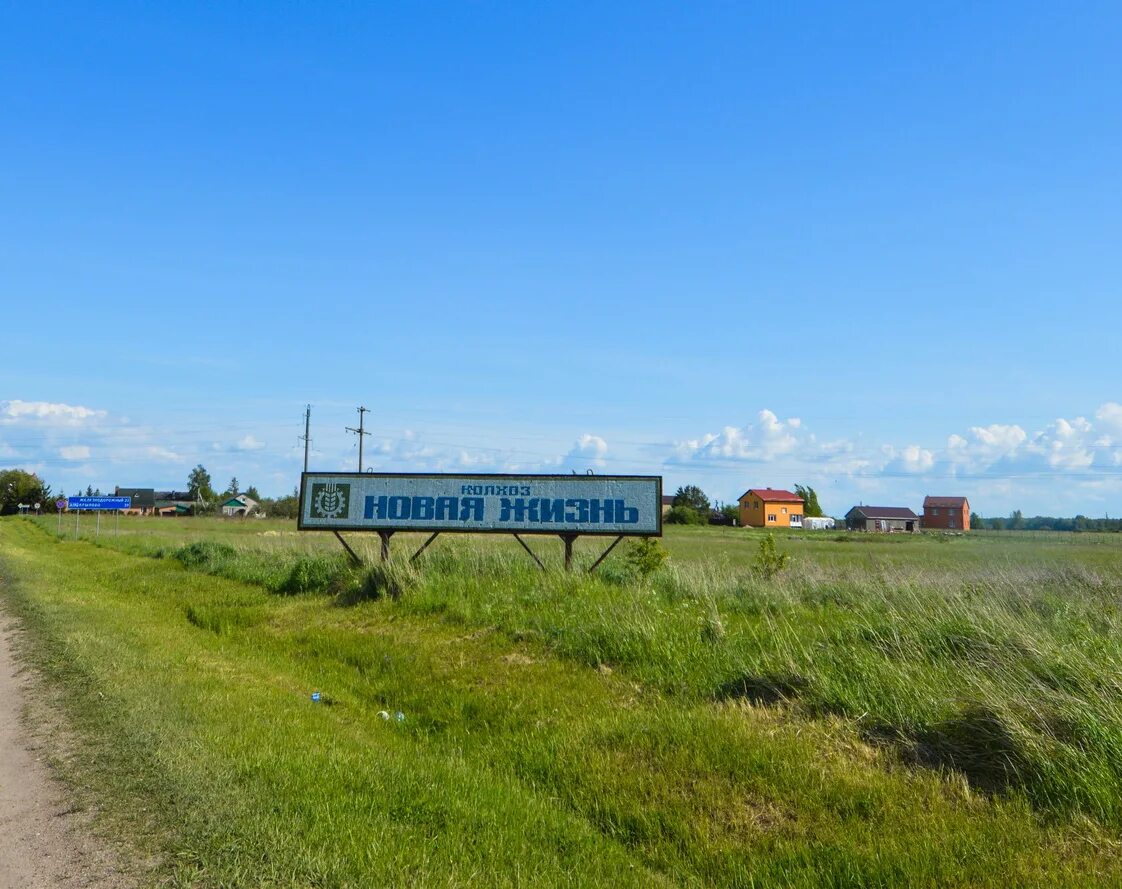 Погода села новая жизнь. Колхоз новая жизнь Пошехонский район. Село новая жизнь. Колхоз новая жизнь Калининградская область. Колхоз новая жизнь фото.