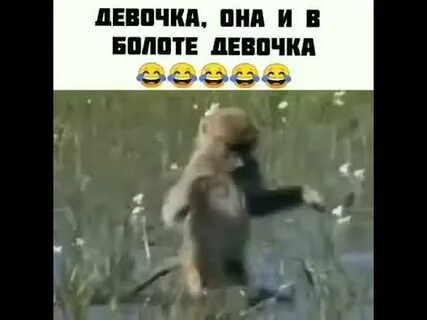 Он не танцует он порхает песня