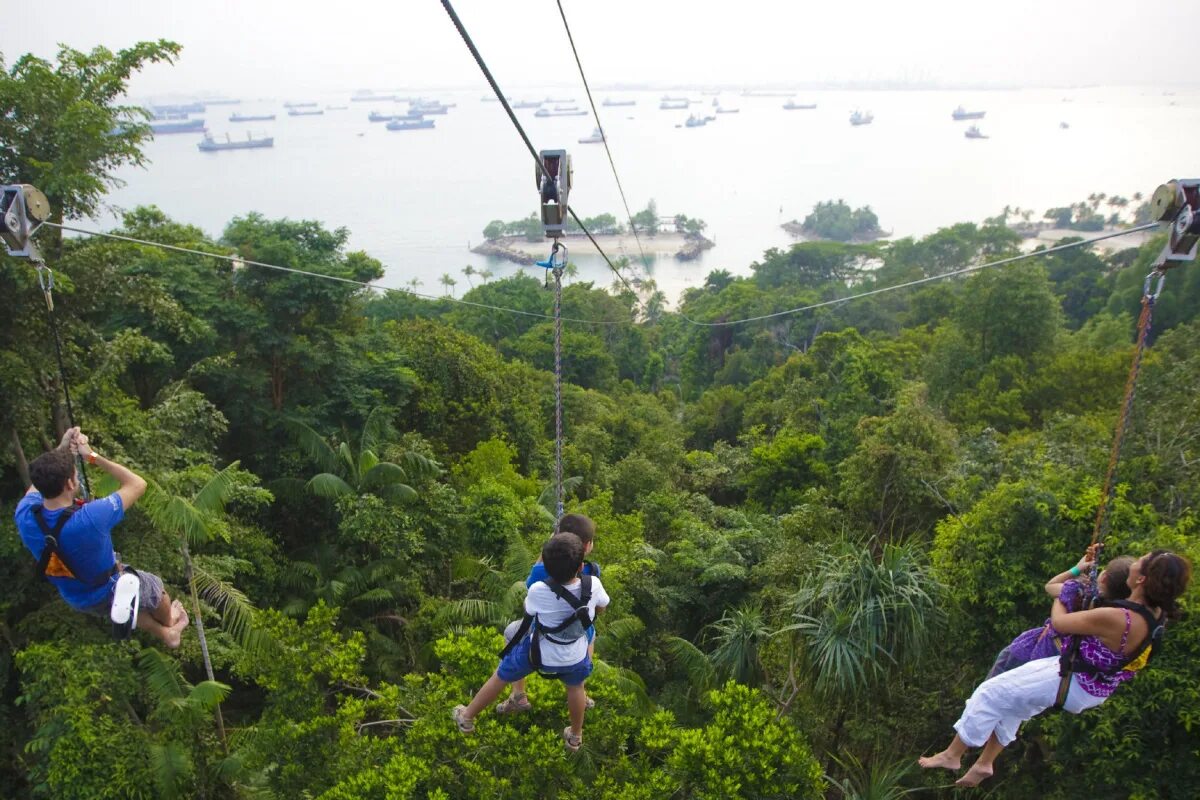 Парк Сентоза. Сингапур Сентоза парк. Zipline Сингапур. Megazip Adventure Park. Mega adventure