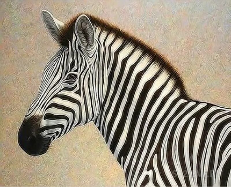 Вроде зебры. Картина Зебра. Две зебры картина. Черная Зебра. Грива зебры.