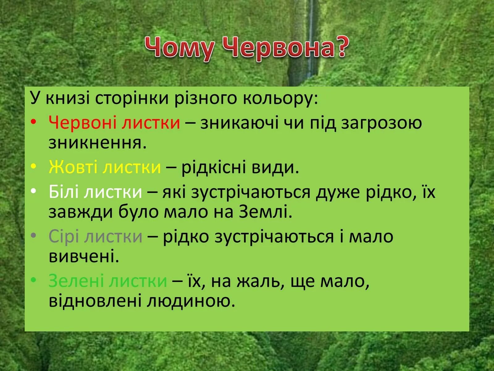 В тому що в ньому