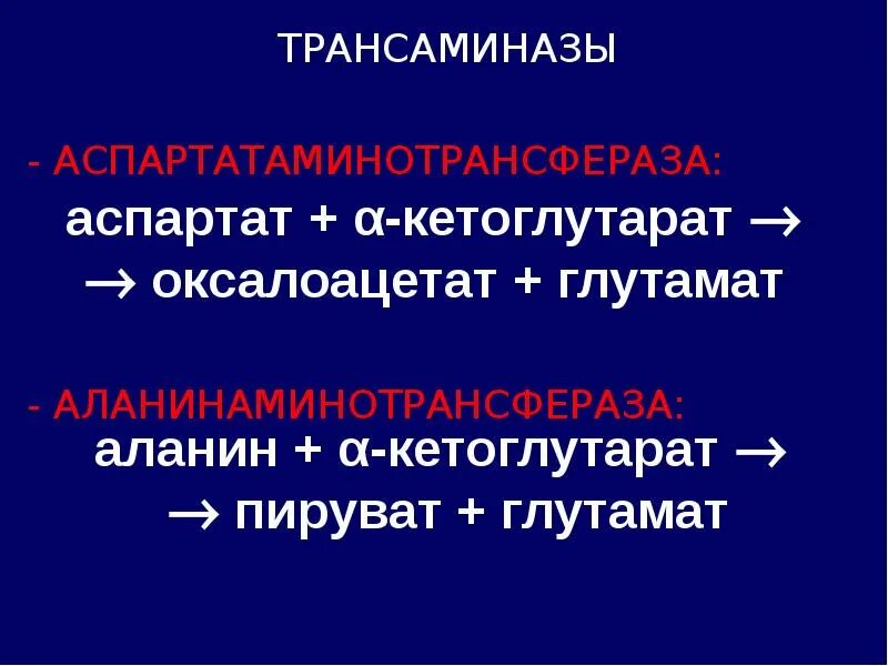 Трансаминазы. Активация пепсина. Глутамат оксалоацетат трансаминаза. Трансаминазы примеры.