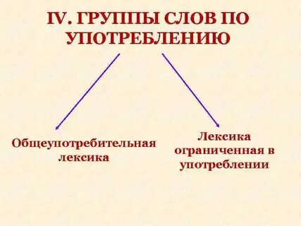 Основные группы общеупотребительных слов