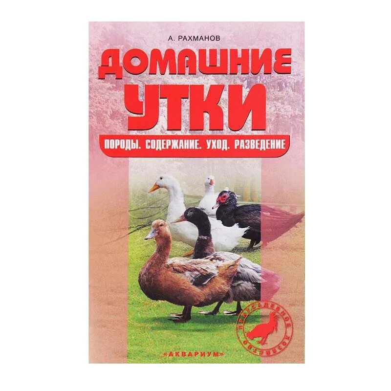 Содержание уход и размножение. Птицеводство породы уток. книги по разведению уток. книги про уток домашних. домашняя утка уход и содержание.