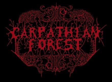 Carpathian forest