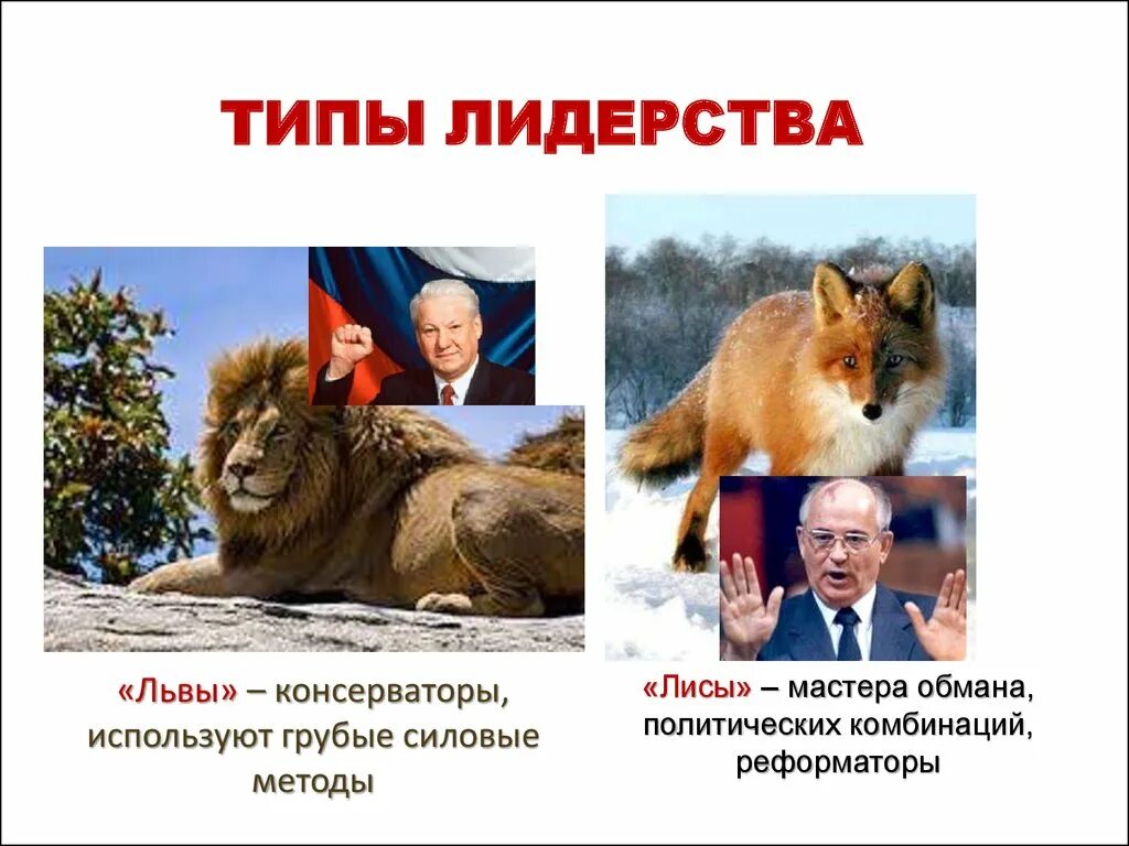 Политические лидеры лисы и львы. Политические элиты лисы и львы. Классификация политической элиты. Лев николаевич толкунов. Типология политических элит.