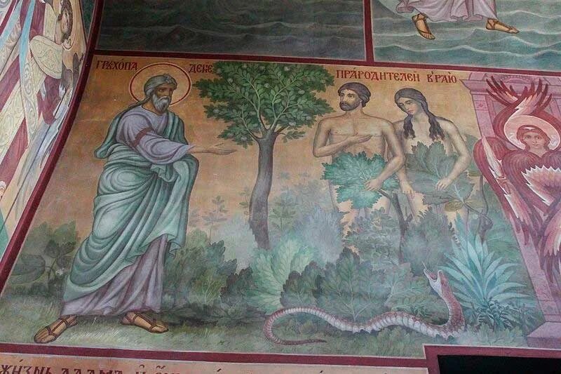 первородный грех летняя школа