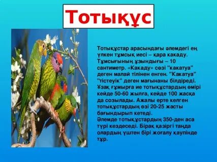 Әйел махаббаты және басқа әйелмен секс видео