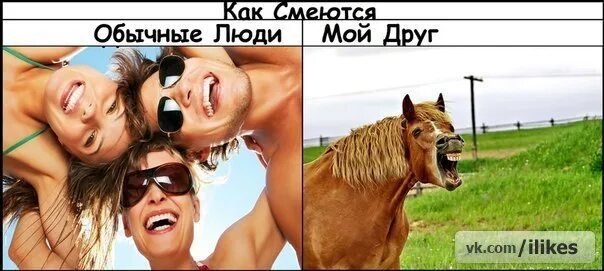 Дети в семье алкоголиков. Эдди мерфи поменяться местами. Лошадь ржет. Коты приколы с надписями. Смешные анекдоты.
