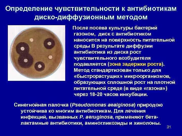Диско диффузионный метод определения. Метод определения чувствительности бактерий к антибиотикам. метод определения чувствительности микроорганизмов к антибиотикам. метод определения чувствительности к антибиотикам микробиология. антибиотики методы определения чувствительности к антибиотикам.