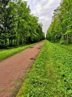 До удельного парка