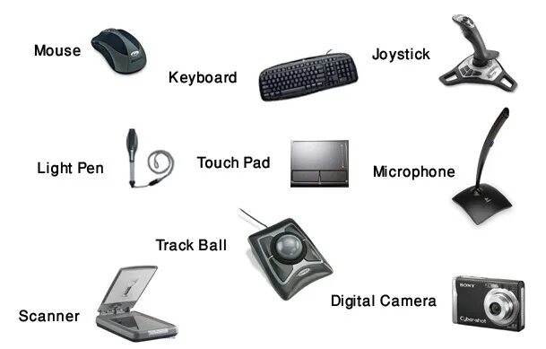 Input devices. Input devices of Computer. Input Hardware. Input devices примеры.