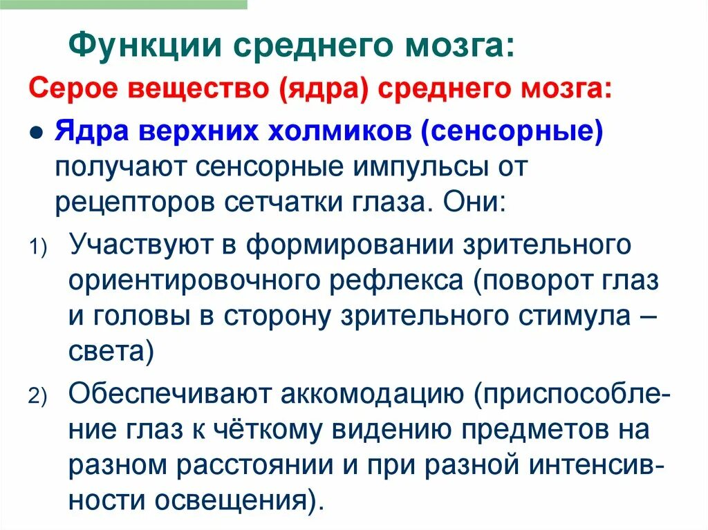 Какова функция среднего мозга. Функции среднего мощна. Средний мозг функции. Функции среднего могза. Перечислите функции среднего мозга