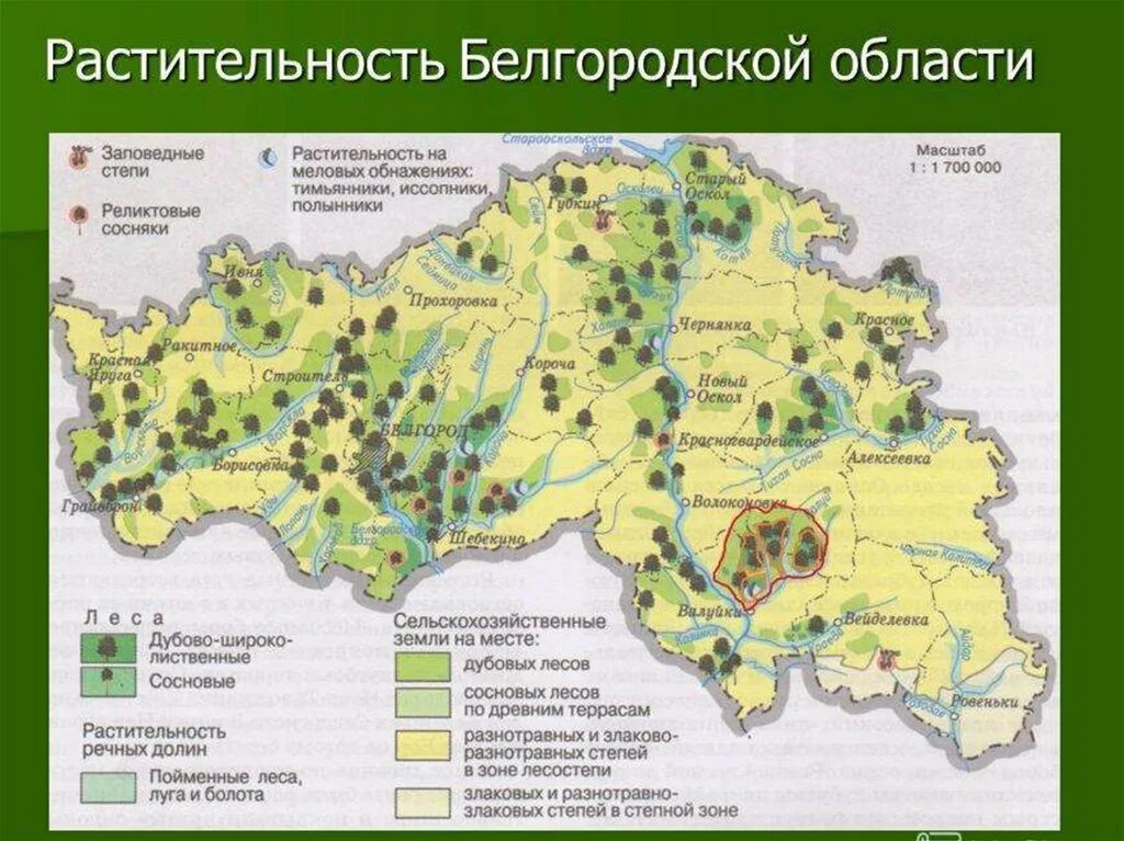 Связь в белгородской области. Карта животный мир Белгородской области. Карта Белгородской области на карте. Растительный мир Белгородской области. Растительный мир Белгородской области карта.