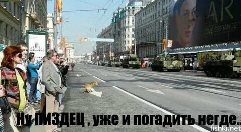 Полный п