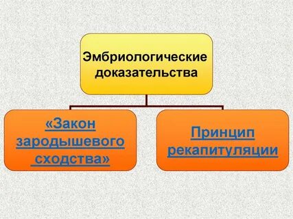 Доказательства эволюции презентация