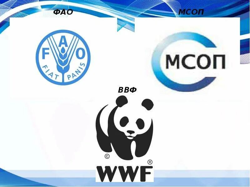 Когда был создан союз охраны природы. Международный союз охраны природы (iucn). международный союз охраны природы эмблема. мсоп логотип. логотип всемирного союза охраны природы.