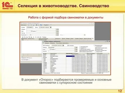 1 с животноводство
