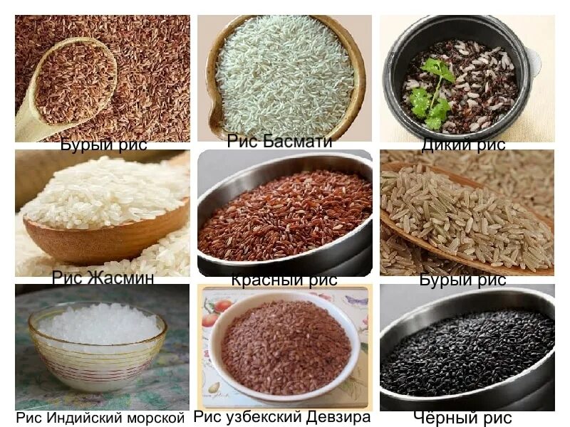 Различие риса. Виды риса. Разные сорта риса. Сорта риса названия. Рис разновидности сорта.