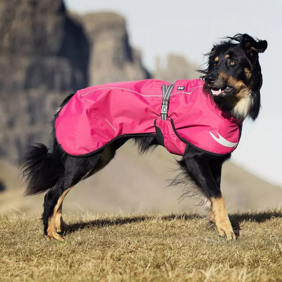 Hurtta одежда для собак. Хурта одежда для собак. Hurtta дождевик. Финская одежда для собак hurtta. Дождевик hurtta для собак.