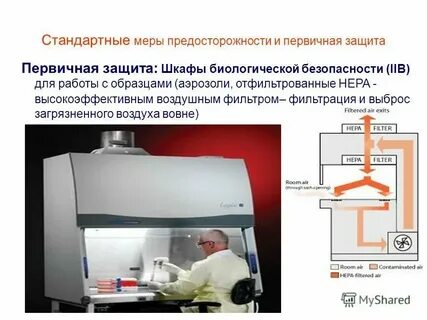 Уровни биобезопасности лабораторий
