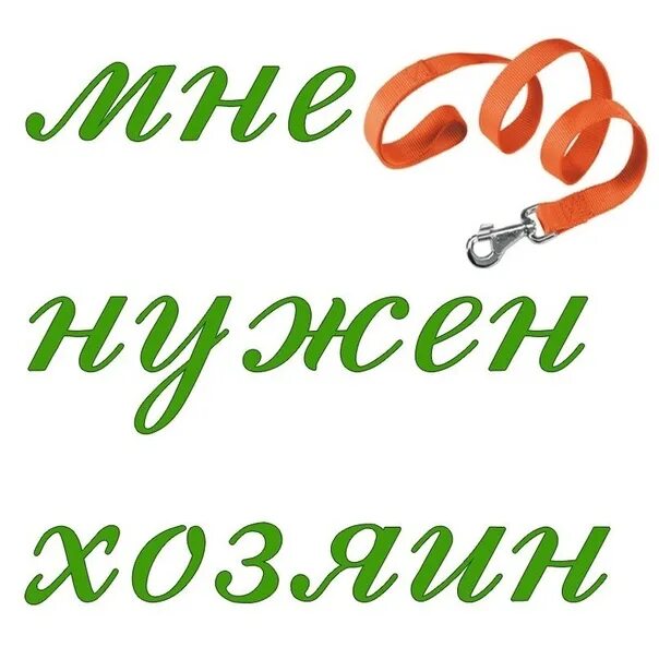 Нижняя ищет хозяина. Нижняя ищет хозяина. Нижняя ищет хозяина. Силуэт собаки. Объявление котик ищет дом.