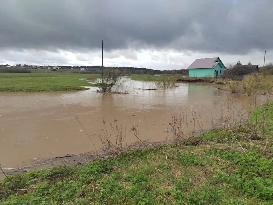 Тошня река Вологда. Деревня Водогино Вологда. Речка в Ананьино Вологда. Река Тошня Вологодский район. Уровень воды в реке вологда сегодня