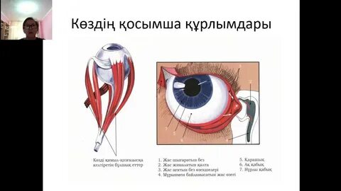 Спайк Баффиді трахает