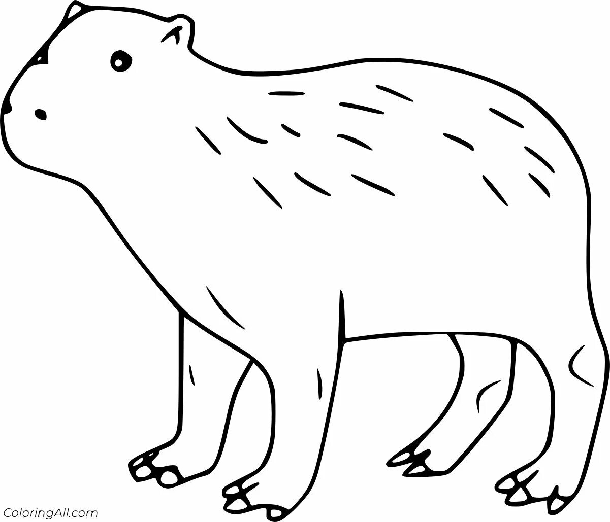 Capybara Coloring book for children: 10 pieces https://daja.ru/raskraska-kapibar