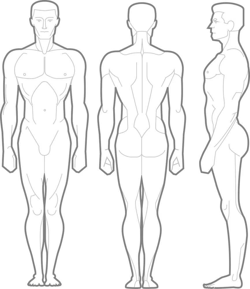 Полная информация о профиле человека. Силуэт человека спереди и сзади в полный рост. Схема человека в полный рост сбоку. Контур мужского тела. Очертания тела мужчины.