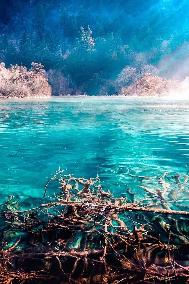 Бирюзовое озеро, национальный парк Цзючжайгоу, Китай. Бирюза в природе. Водопад голубое озеро. Бирюзовая природа.