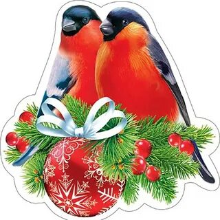 Новогодний снегирь картинки