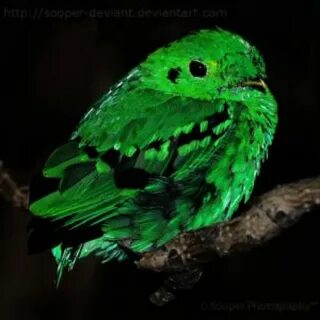 I m green
