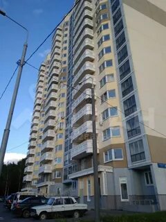 Сосновая 10