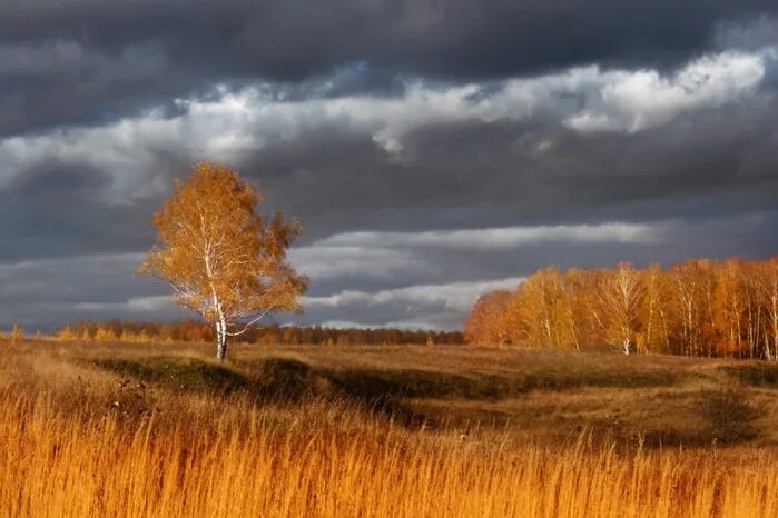 Серое небо осени. Осенние тучи. Пасмурное небо осенью. Серое осеннее небо. Небо осень пасмурно.